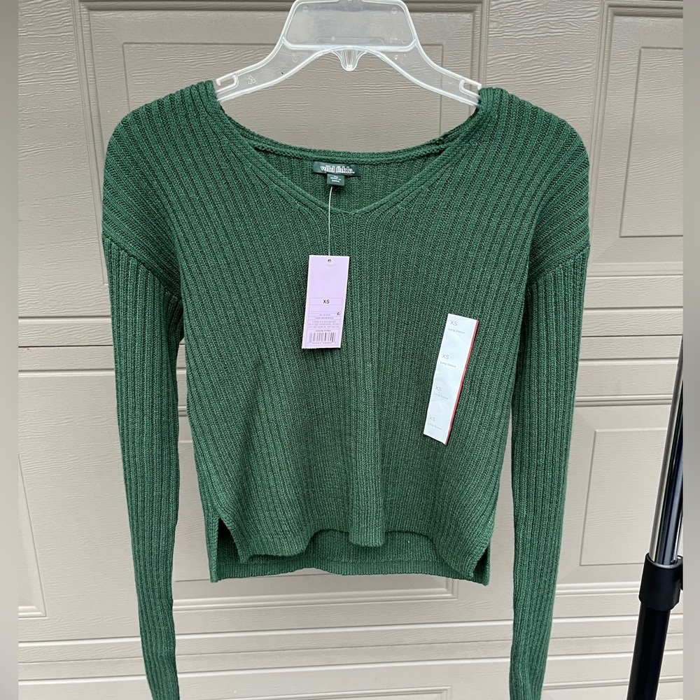 Wild Fable Green Sweater